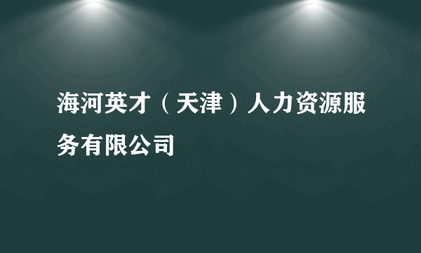 海河英才（天津）人力资源服务有限公司