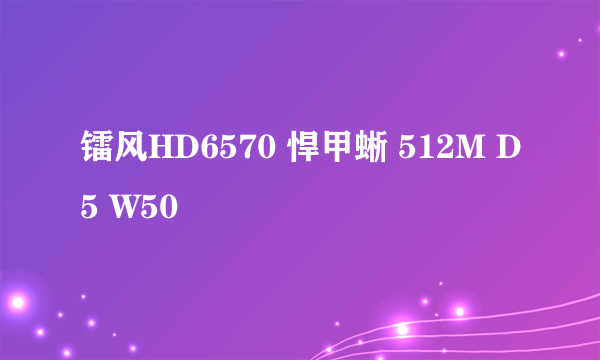 镭风HD6570 悍甲蜥 512M D5 W50