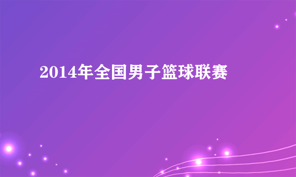 2014年全国男子篮球联赛