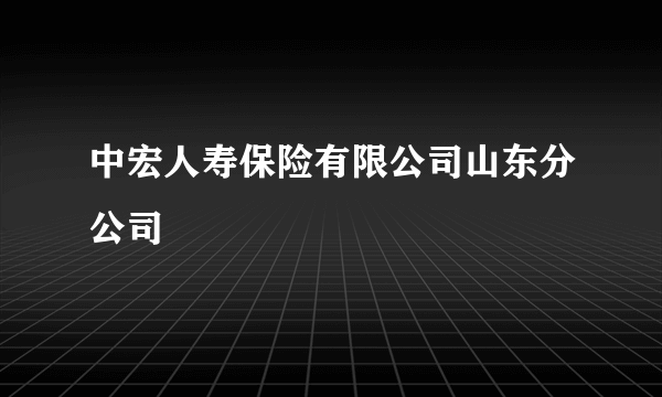 中宏人寿保险有限公司山东分公司