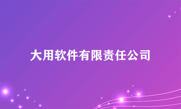 大用软件有限责任公司