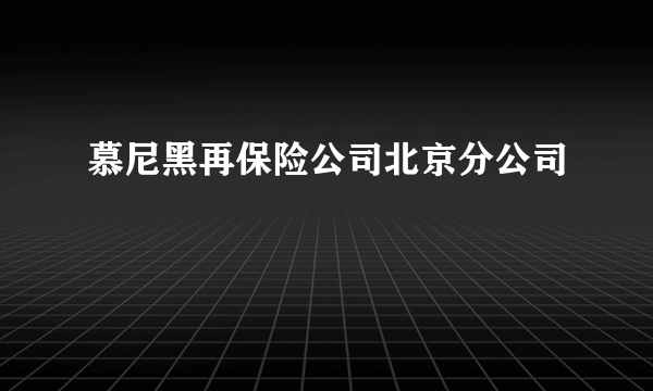 慕尼黑再保险公司北京分公司