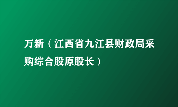 万新（江西省九江县财政局采购综合股原股长）