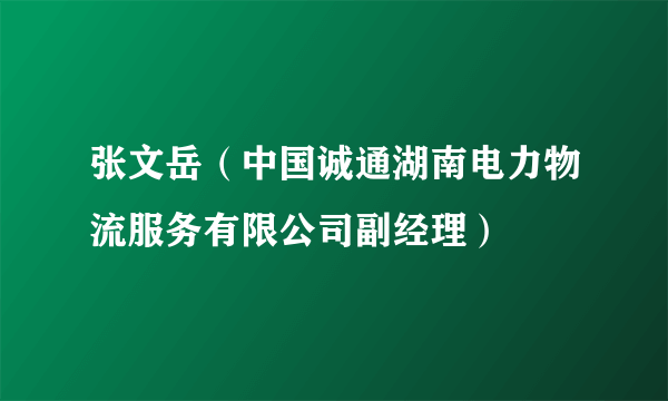 张文岳（中国诚通湖南电力物流服务有限公司副经理）