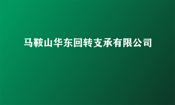 马鞍山华东回转支承有限公司