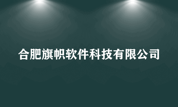 合肥旗帜软件科技有限公司