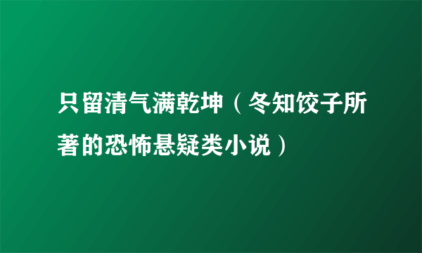 只留清气满乾坤（冬知饺子所著的恐怖悬疑类小说）