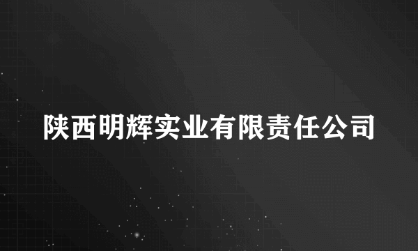 陕西明辉实业有限责任公司