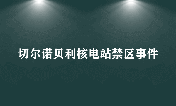 切尔诺贝利核电站禁区事件