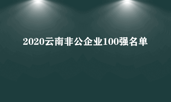 2020云南非公企业100强名单