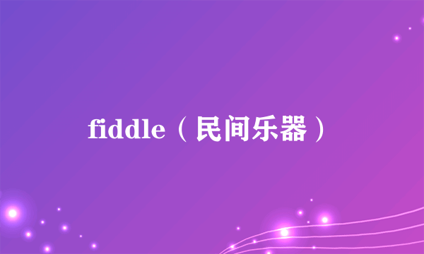 fiddle（民间乐器）