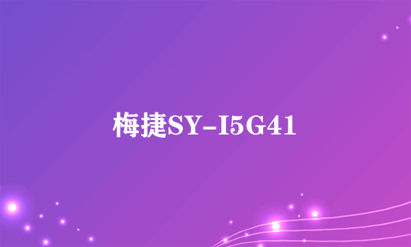 梅捷SY-I5G41