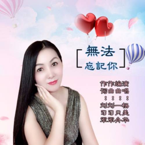 无法忘记你（杨美华演唱歌曲）