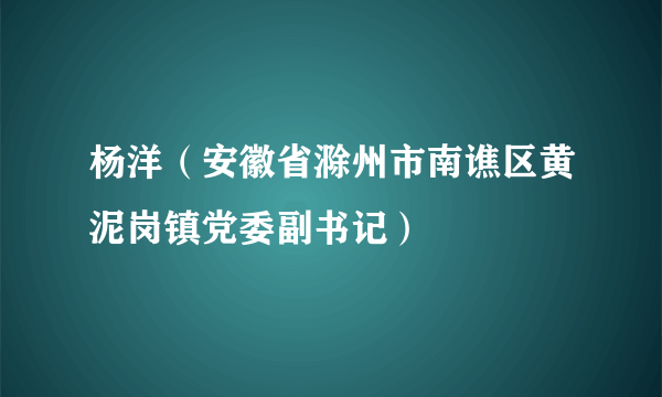 杨洋（安徽省滁州市南谯区黄泥岗镇党委副书记）