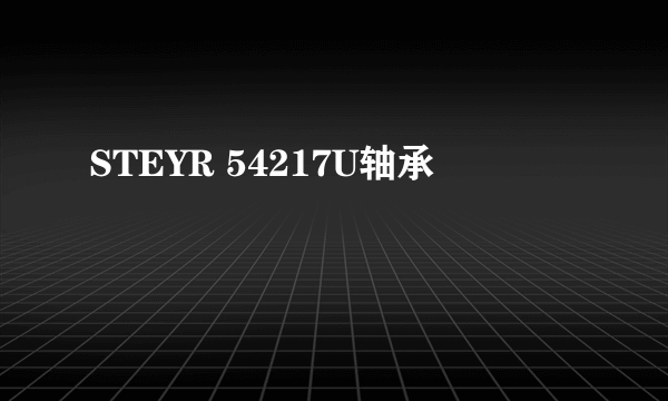 STEYR 54217U轴承