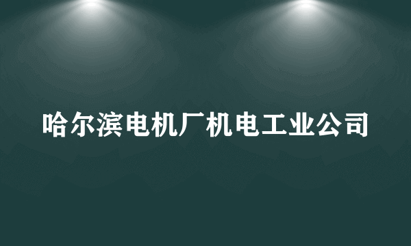 哈尔滨电机厂机电工业公司