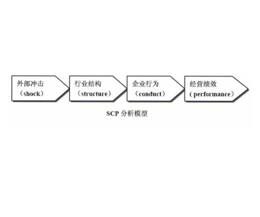 SCP分析模型