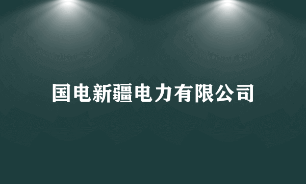 国电新疆电力有限公司