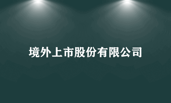 境外上市股份有限公司