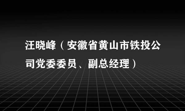 汪晓峰（安徽省黄山市铁投公司党委委员、副总经理）