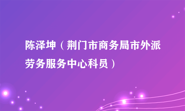 陈泽坤（荆门市商务局市外派劳务服务中心科员）