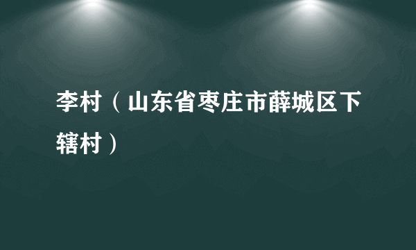 李村（山东省枣庄市薛城区下辖村）