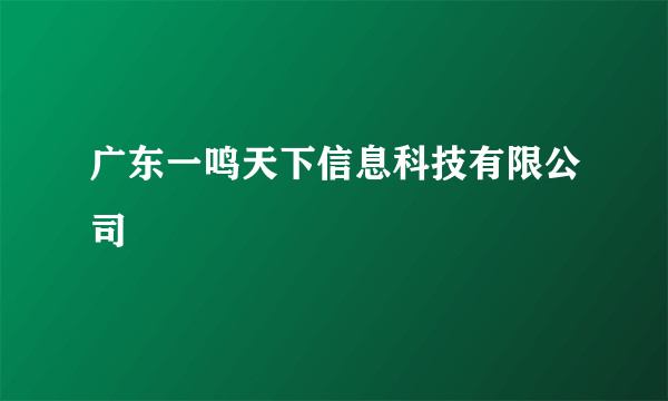 广东一鸣天下信息科技有限公司