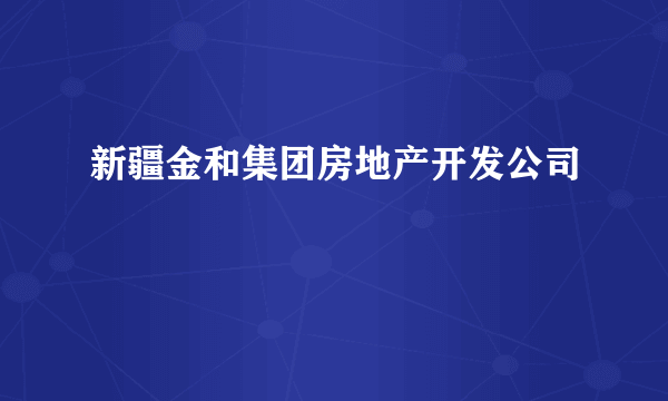 新疆金和集团房地产开发公司