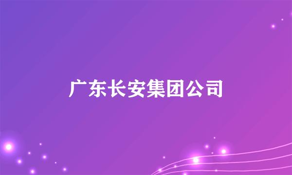 广东长安集团公司