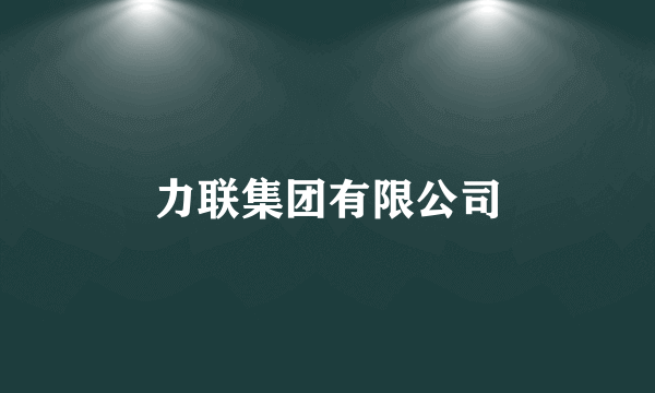 力联集团有限公司