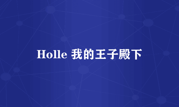 Holle 我的王子殿下