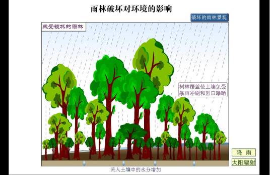 能源对环境的影响