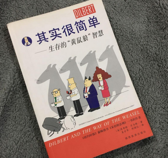 其实很简单（2007年陕西旅游出版社出版的图书）