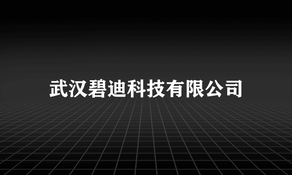 武汉碧迪科技有限公司