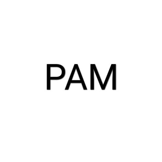 PAM（脉冲振幅调制）