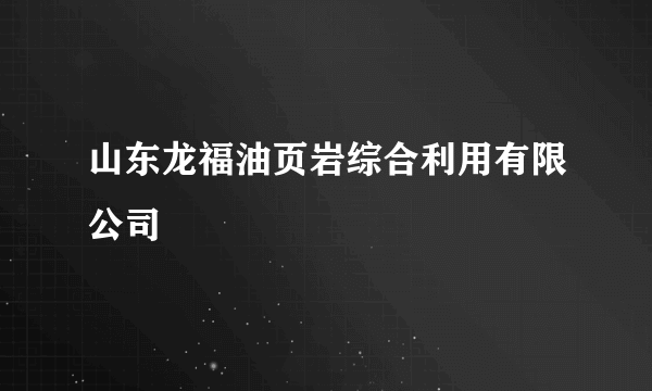 山东龙福油页岩综合利用有限公司