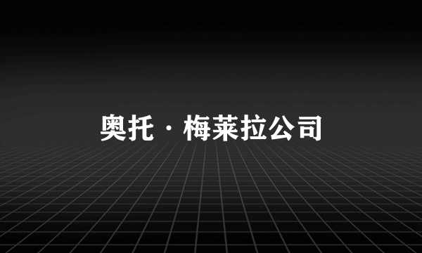 奥托·梅莱拉公司