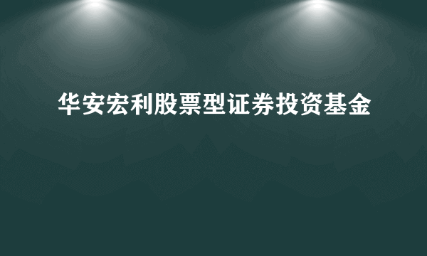 华安宏利股票型证券投资基金