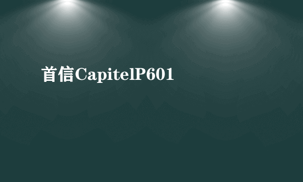 首信CapitelP601