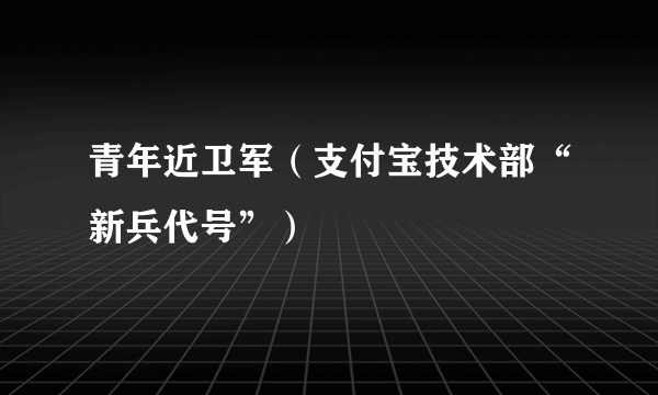 青年近卫军（支付宝技术部“新兵代号”）