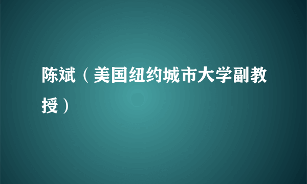 陈斌（美国纽约城市大学副教授）