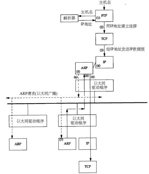 ARP（地址解析协议）