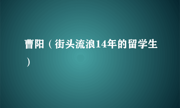 曹阳（街头流浪14年的留学生）