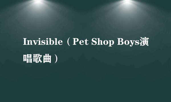 Invisible（Pet Shop Boys演唱歌曲）