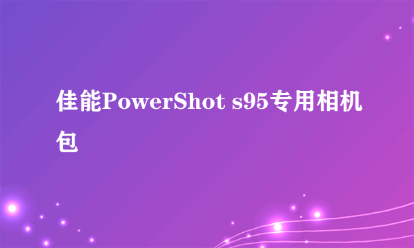 佳能PowerShot s95专用相机包