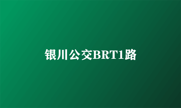 银川公交BRT1路