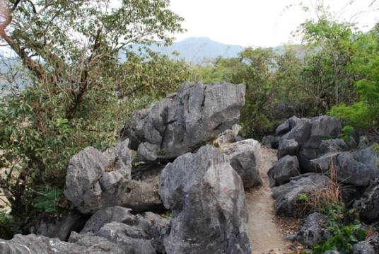 将乐天阶山国家森林公园