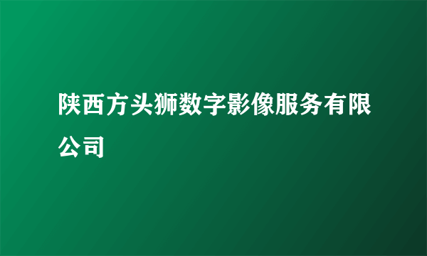 陕西方头狮数字影像服务有限公司