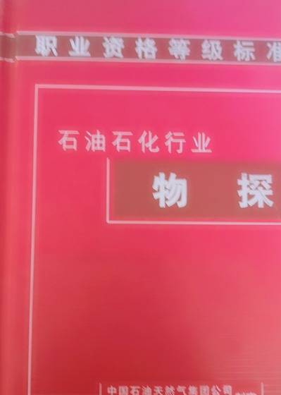 物探（2008年中国石油大学出版社出版的图书）