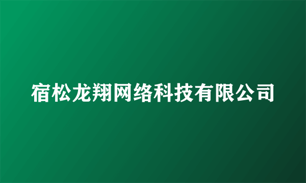 宿松龙翔网络科技有限公司